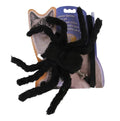 Cat Spider Harness & Leash