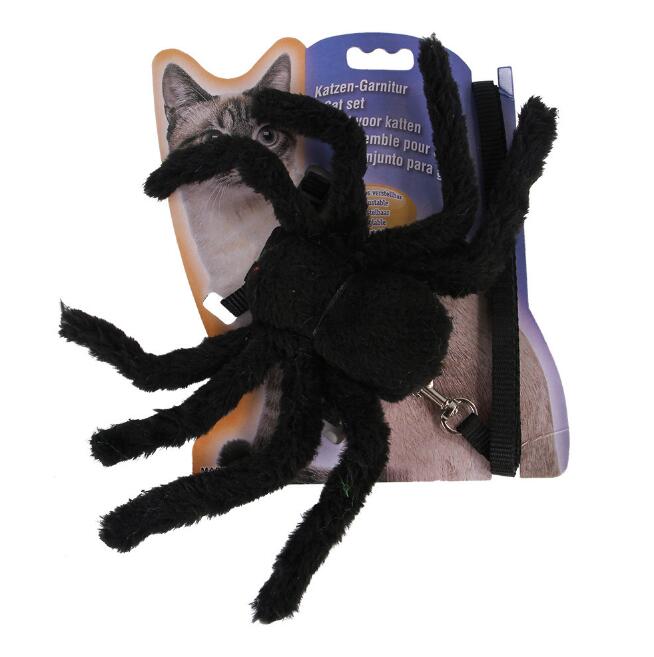 Cat Spider Harness & Leash