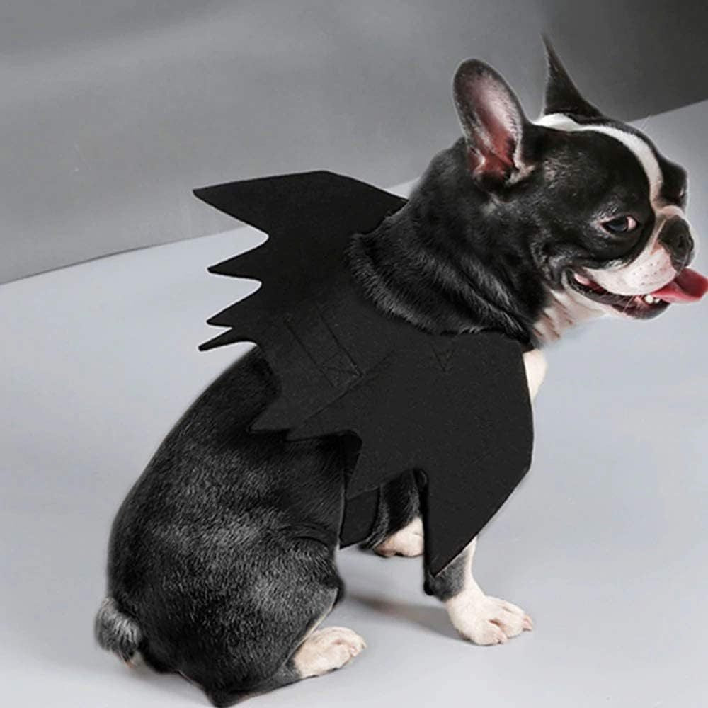 Pet Bat Wings Prop
