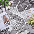 Eyelash Lace Lingerie Set (4-piece)
