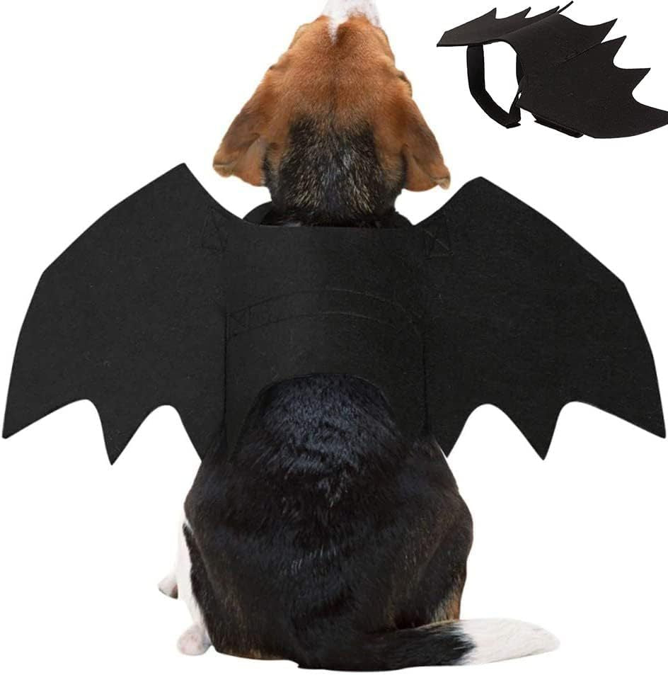 Pet Bat Wings Prop