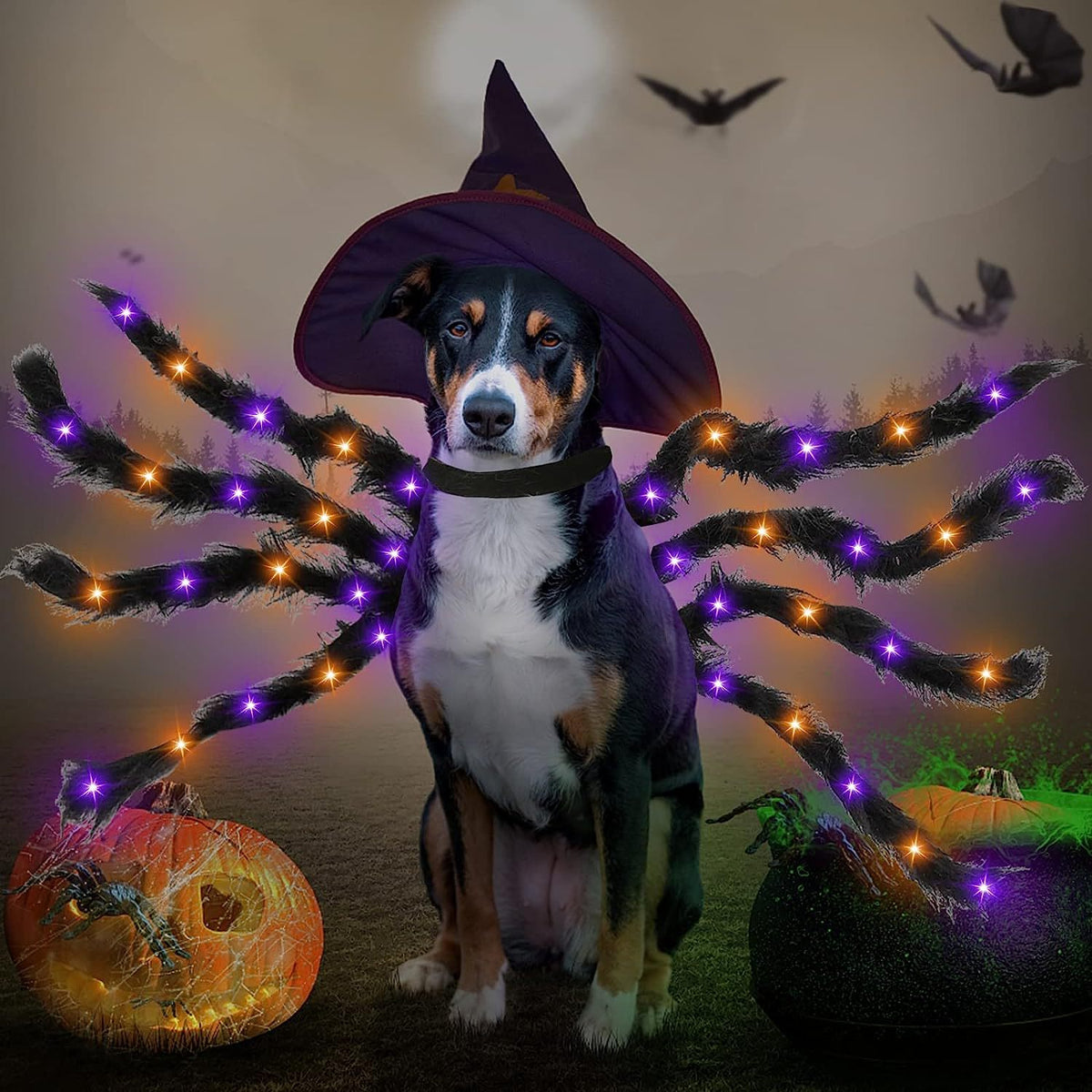 Pet Bat Wings Prop