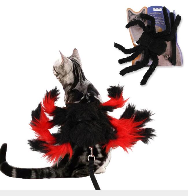 Cat Spider Harness & Leash