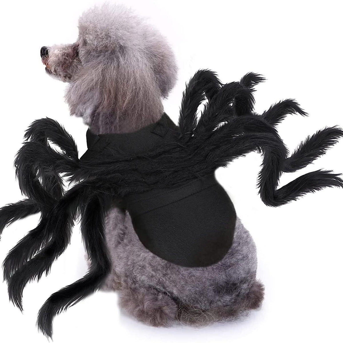 Pet Bat Wings Prop