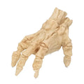Electric Halloween Skeleton Hand